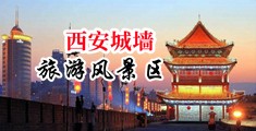 欧美大鸡巴插逼视频中国陕西-西安城墙旅游风景区